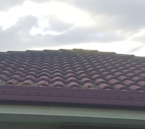 Rent a hubby home improvements - Doncaster, VIC. Our roof full of moss that he was supposed to clean