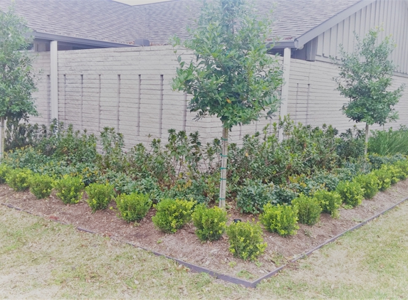 Gomez Trees & Landscaping