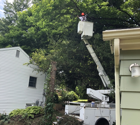 Mel's Firewood & Tree Service - Indiana, PA