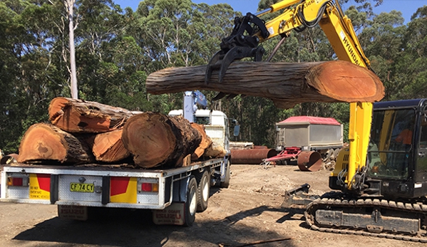 Brady Tree Service Pty Ltd - Kurrajong Heights, NSW. We offer residential, commercial and industrial tree & stump removal services.