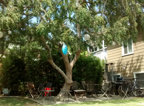 The Urban Lumberjack - Los Angeles, CA. Chinese elm pruned