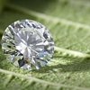 Diamonds On Web gallery