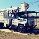 Cervantes Tree Services - Tree Service