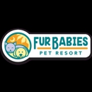 Fur Babies Pet Resort - Pet Services