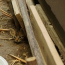 Mr Bug Killer - Pest Control Equipment & Supplies