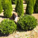 Mark Liepold Nursery