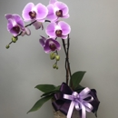 Lou's Florist - Gift Baskets