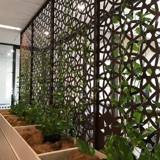 Jindalee Indoor Plant Service - Edgeworth, NSW