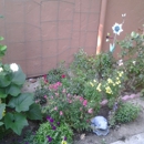 Moana Nursery - Landscaping & Lawn Services