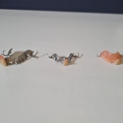Gallery Image Number 6