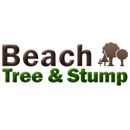 Beach Tree & Stump - Landscape Contractors