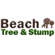 Beach Tree & Stump