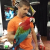 Pick & Pal Pet Store gallery