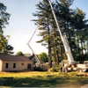 Todd's Tip Top Complete Tree Service gallery