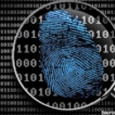 WhiteRaven Investigations & Digital Forensics - Forensic Consultants