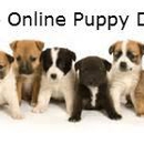 Online Puppy Direct - Marketing Programs & Services