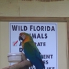 Wild Florida Adventure Park gallery
