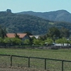 Equine Center gallery