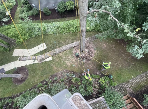 Brossart F. Tree Service - Erlanger, KY