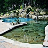 East Coast Pools Concepts gallery