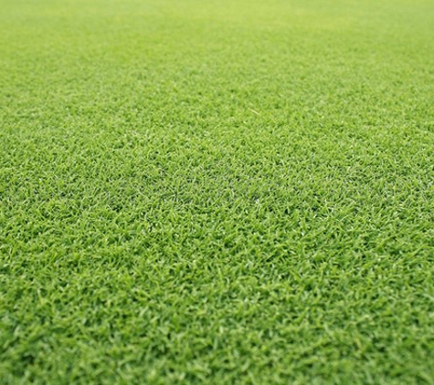 Melbourne Turf Supplies. Santa Ana Couch