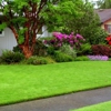 Lawns by Mark lawn care gallery