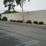 Photo #01