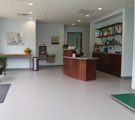 Springs Family Veterinary Hospital - Saratoga Springs, NY. Just a part of our spacious welcome area. Cats and dogs have separate, comfortable spaces.
