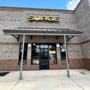 SURGE Staffing - Executive Search Consultants