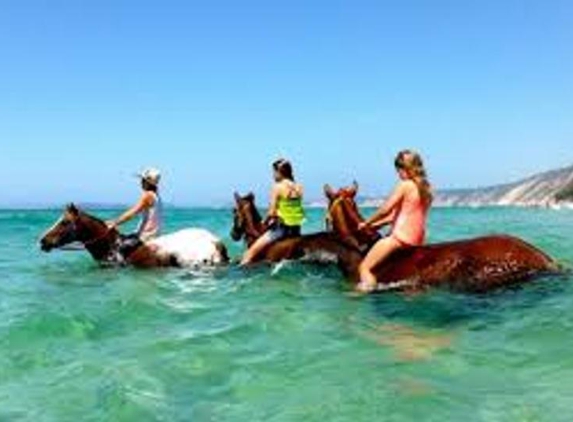 Cooee Tours - Southport, QLD. Kids love optional horse riding