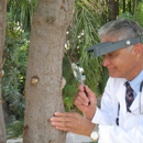 Michael Monji & Associates - Arborists