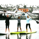 PADDLE SURF WAREHOUSE - Surfboards