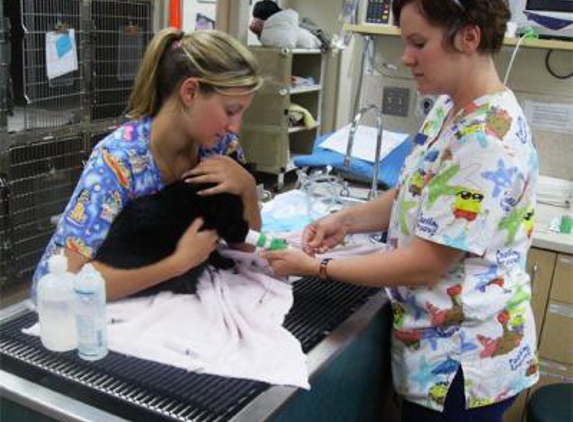 Oakland Veterinary Referral Services - Bloomfield Hills, MI