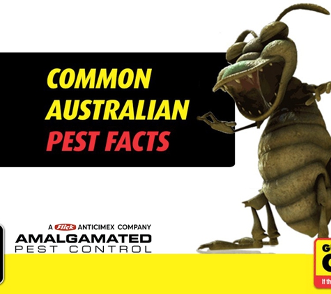 Amalgamated Pest Control - Arcadia, QLD. Common Australian Pest Facts