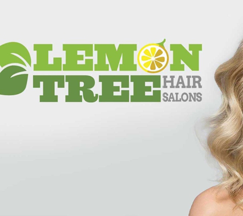 Lemon Tree Hair Salon Smithtown - Smithtown, NY