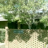 Carbone Joseph DDS gallery