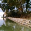 Ches Shores Marine gallery