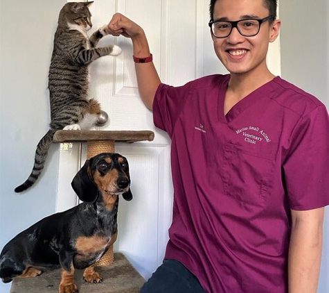 Marius Small Animal Veterinary Clinic - Tamworth, NSW