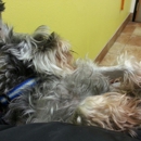 Banfield The Pet Hospital - Veterinary Clinics & Hospitals
