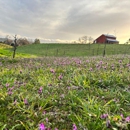 Bella Luna Estate Winery - Wineries