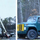 OJ Tree Service - Stump Removal & Grinding