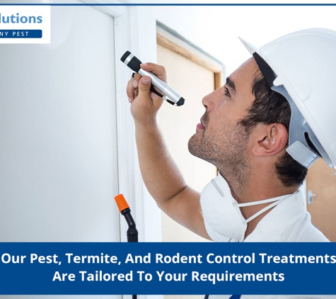 Pestige Solutions - Woolooware, NSW. Our Pest, Termite, And Rodent Control Treatments Are Tailored To Your Requirements
