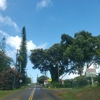 Kilauea Elementary School gallery