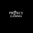 Project Gamma - Auto Repair & Service