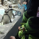 Aquarium of Niagara - Public Aquariums