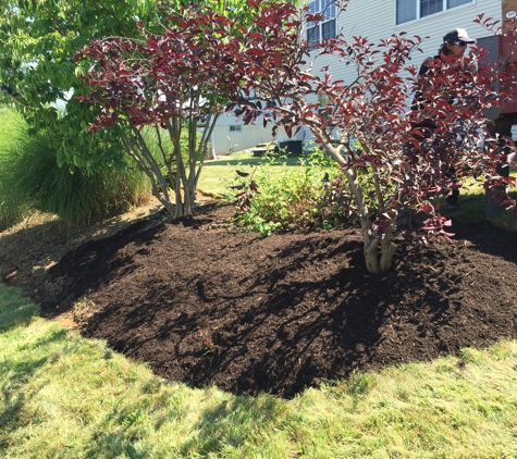 Christmas City Tree & Land Care - Bethlehem, PA. After mulch