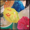 Bahama Buck's gallery
