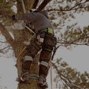 Wyoming Professional Tree Care, LLC - Tree Service