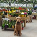 Catalpa Grove Farm & Market - Greenhouses