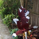 Florida Whirligigs Etc - Garden Ornaments